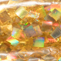 Bream Holographic