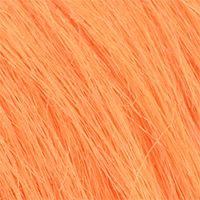 Bright Orange