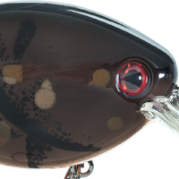 Brown Craw