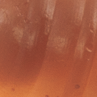 Brown/Orange
