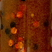 Brown/Orange Flake