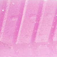 Bubblegum