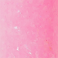 Bubble Gum
