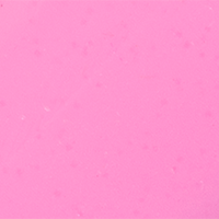 Bubble Gum
