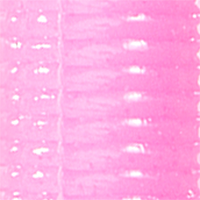 Bubble Gum