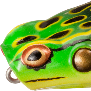 Bullfrog