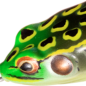 Bullfrog