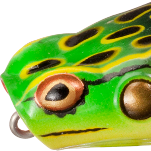 Bullfrog