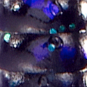 Candy Bug