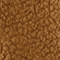 Carhartt Brown
