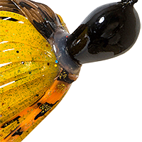Carolina Craw