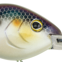 Chameleon Pearl