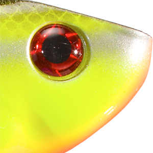 Chartreuse Baitfish