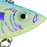 Charblue Flash