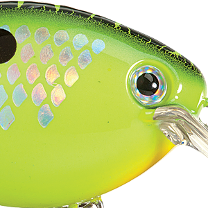 Chartreuse Crazy Shad