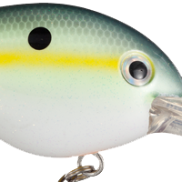 Chartreuse Sexy Shad