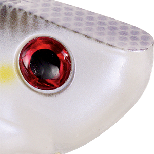 Chartreuse Shad