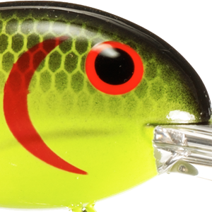 Chartreuse Black Back