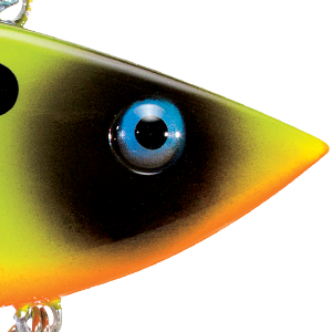 Chartreuse Black Back