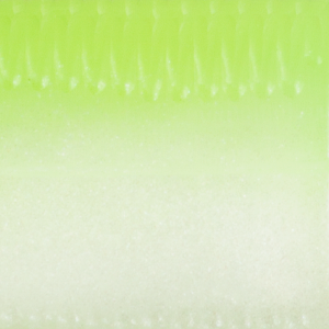 Chartreuse Pearl
