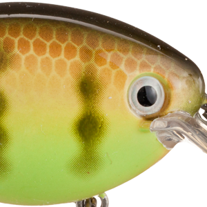 Chartreuse Perch