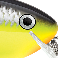 Chartreuse Black