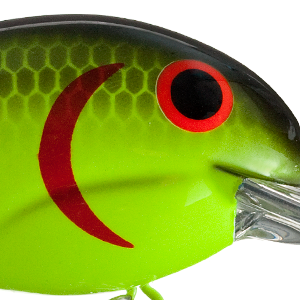 Chartreuse Black Back
