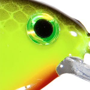 Chartreuse Black Back