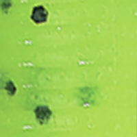 Chartreuse/Black Flake