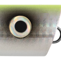 Chartreuse Back/Silver
