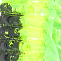Chartreuse/Black Stripe