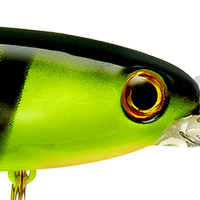 Chartreuse Black Stripes