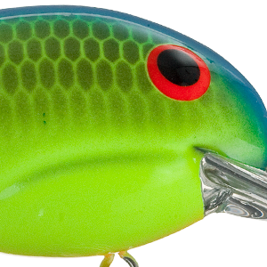 Chartreuse Blue Back