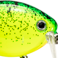 Chartreuse Blue Black Spltrbk