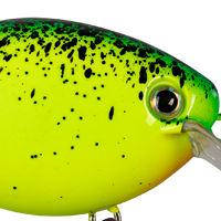 Chartreuse/Blue Splatterback