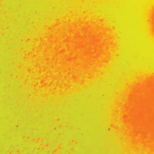 Chartreuse Flame/Black Wings