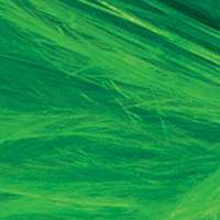 Chartreuse Green/Chart Glow