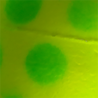 Chartreuse/Green Dots