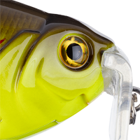 Chartreuse Green Shad