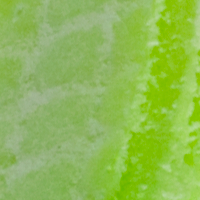 Chartreuse - Long Lasting