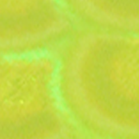 Chartreuse/Orange
