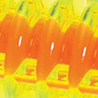 Chartreuse/Orange Core