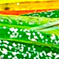 Chartreuse/Orange/Green