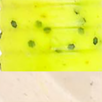 Chartreuse Pepper Neon