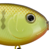 Chartreuse Perch
