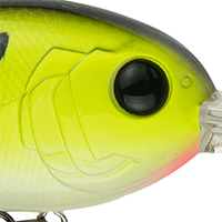 Chartreuse Pro Blue