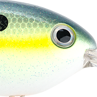 Chartreuse Sexy Shad