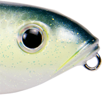 Chartreuse Sexy Shad