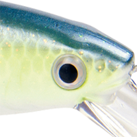 Chartreuse Sexy Shad