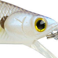 Chartreuse Shad